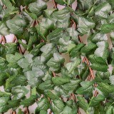 Künstliche Efeu-Hecke Sichtschutzzaun Künstliche Blätter 0,9x1,8m - GMLW 1 Grindi - 2