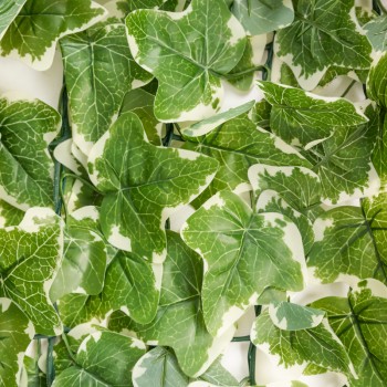 Künstliche Efeu-Hecke Sichtschutzzaun Künstliche Blätter 100cm - GMLS 2 Grindi - 2