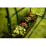 Tomaten Foliengewächshaus Treibhaus Pflanzenhaus - 124x42x92 - Aster V Grindi - 8