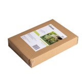 Mini Foliengewächshaus Treibhaus Pflanzenhaus - auf dem Balkon - Lotus I 43x27x31 Grindi - 10