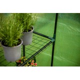 Foliengewächshaus Treibhaus Pflanzenhaus mit Regal - 143x143x195 - Grün Grindi - 5