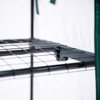 Foliengewächshaus Treibhaus Pflanzenhaus mit Regal - 70x50x158 Grindi - 9