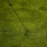 Foliengewächshaus Pflanzenhaus Wandmontiertes mit Regal - 100x200x215 Grindi - 7