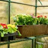 Foliengewächshaus Treibhaus Pflanzenhaus mit Regal - 143x143x195 Grindi - 4