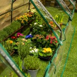 Foliengewächshaus Treibhaus Pflanzenhaus - für Blumen 270x92x92 Grindi - 4