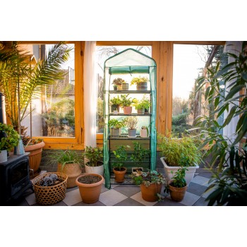 Foliengewächshaus Treibhaus Pflanzenhaus mit 5 Gitterböden - KALMIA II, 70x50x190 Grindi - 2