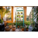 Foliengewächshaus Treibhaus Pflanzenhaus mit 5 Gitterböden - KALMIA II, 70x50x190 Grindi - 2