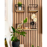 Loft Wandregal, Holzregal, Hängeregal - Kiefernholz, 60x14 + 25x14, 3 Stück - SFL 5 Domax Home - 4