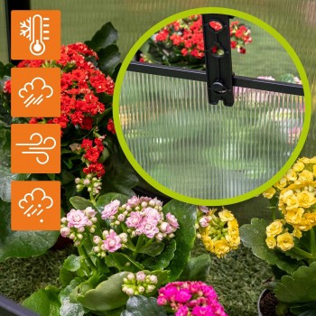 Frühbeet Treibhaus Mini Gewächshaus aus Polycarbonat - 180x51x51 - Magnolia III, schwarz GRINDI - 7