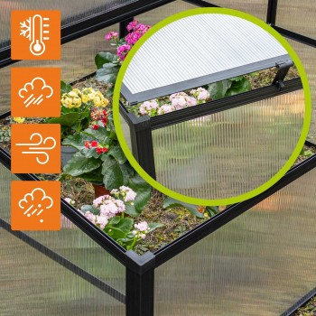 Frühbeet Treibhaus Mini Gewächshaus aus Polycarbonat - 100x100x48 - Magnolia IV, schwarz GRINDI - 8