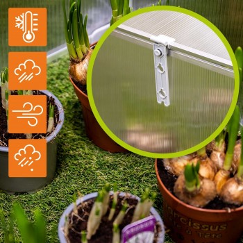 Gewächshaus aus Polycarbonat - 120x51x51 - dreifach GRINDI IN THE GARDEN - 7