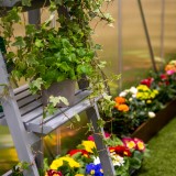 Gewächshaus Gartenhaus Treibhaus Alu - Viola III - 310x190x195 GRINDI IN THE GARDEN - 5