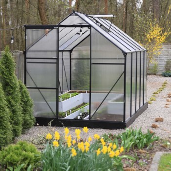 Gewächshaus Gartenhaus Treibhaus Polycarbonat - Viola IV, schwarz - 3x2m GRINDI - 5