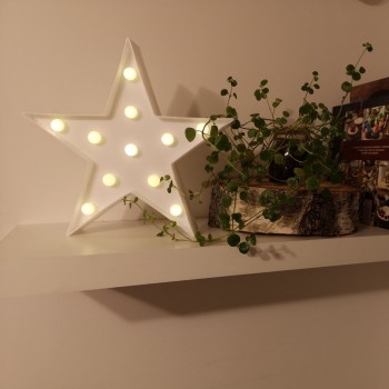 Regalbrett, Wandregal, Regalsysteme, Regalboden, Regale - FS 235x235