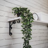 Regalhalter, Regalkonsole Dekorative - Ornament Stahl - WO Velano - 12