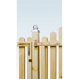 Ladenband Torband Ladenbänder Scharnier - ZP DMX - 2