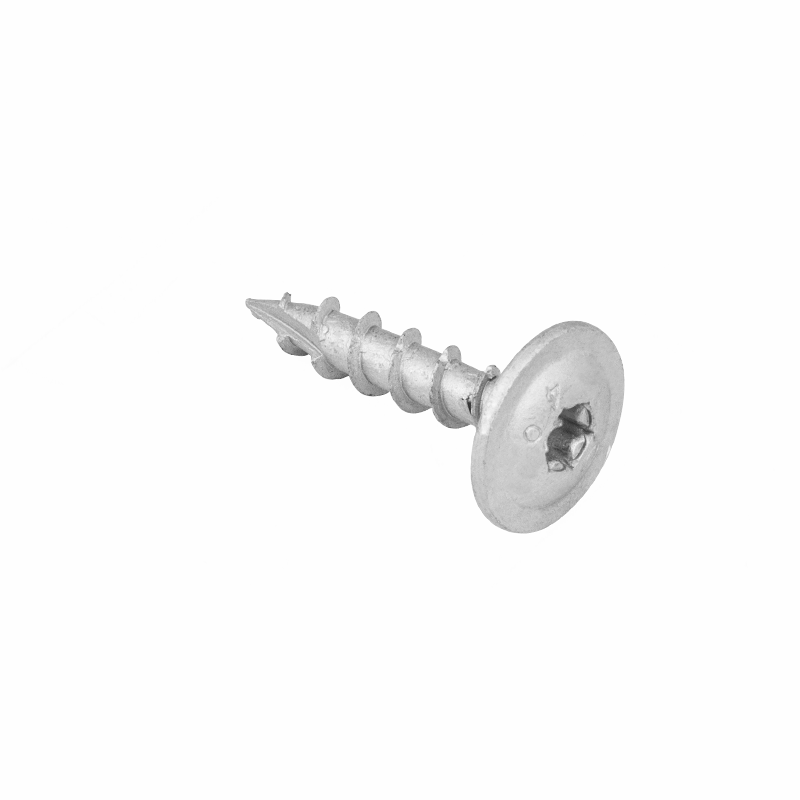 CTO - Schraube für die Gartenarchitektur (Päckchen) DMX - 1