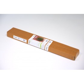 Tomaten Foliengewächshaus Treibhaus Pflanzenhaus - 50x100x150 - Transparent Grindi - 11