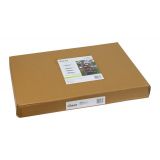 Foliengewächshaus Treibhaus Pflanzenhaus mit Regal - 70x50x158 Grindi - 12