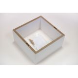 Wand-Regal-Set, Modulfächer, Regalsysteme, Hängeregale - FSS 270/240/210 Velano - 21